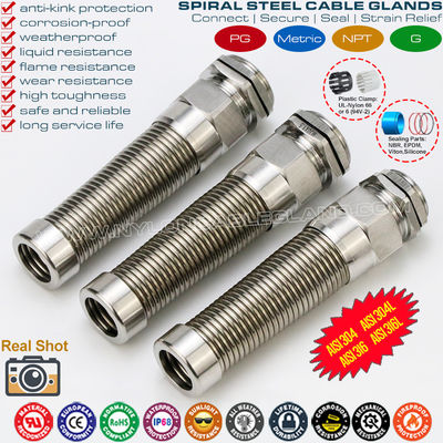 AISI 316L, AISI 316, AISI 304 Stainless Steel Metal PG Flexible Cable Gland (IP68) with Additional Spiral Strain Relief,