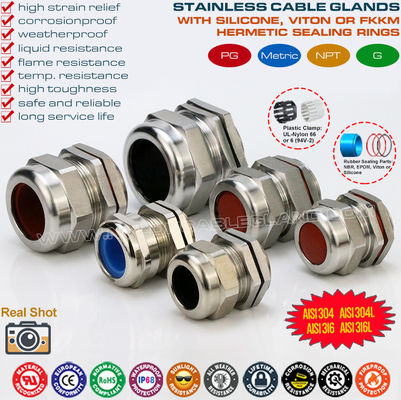 Prensaestopas impermeables PG de acero inoxidable SS304 / SS316 / SS316L (IP68) con sellos de caucho fluorado